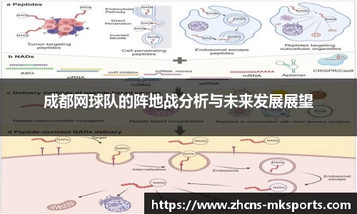 mk体育官方网站