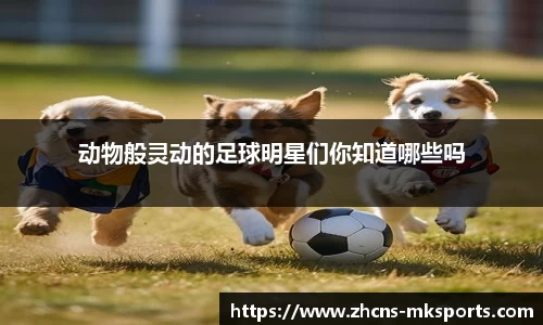 动物般灵动的足球明星们你知道哪些吗